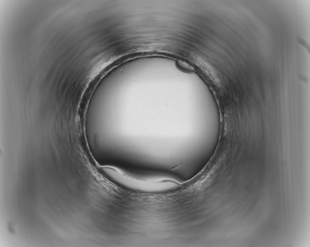 X0000096490876200802071940