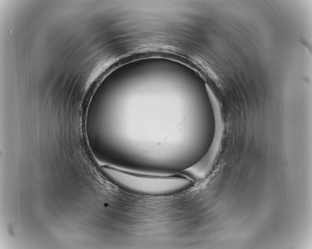 X0000096490877200802071940