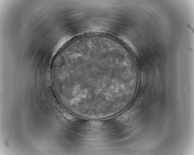 X0000096490878200802071940