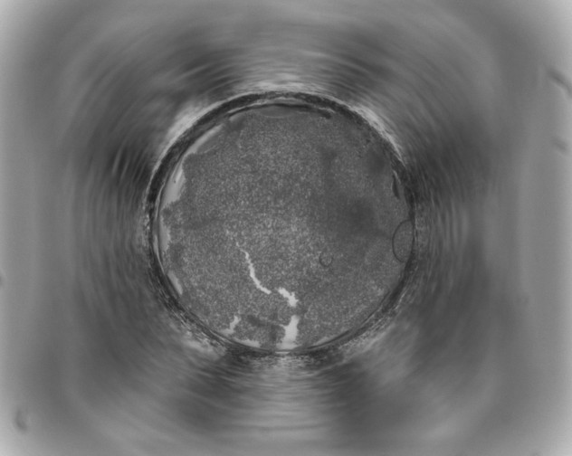 X0000096490879200802071940