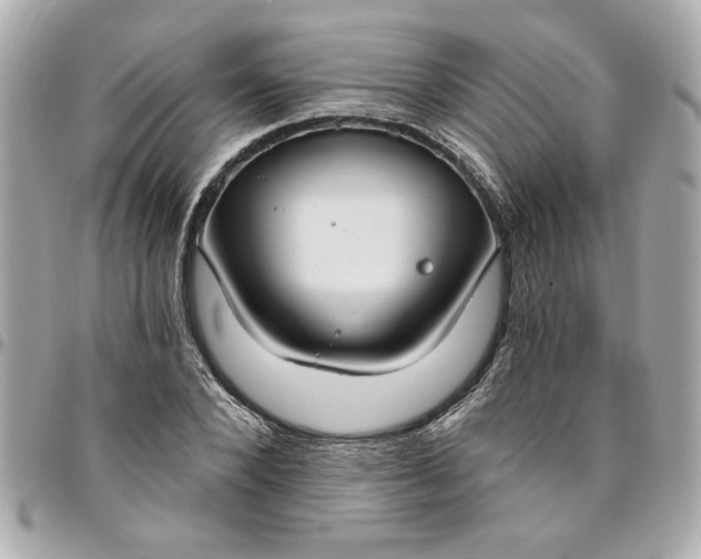 X0000096490880200802071940