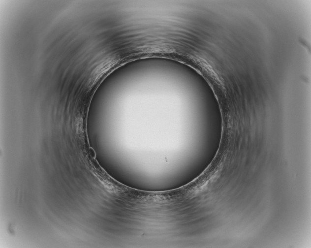 X0000096490881200802071940