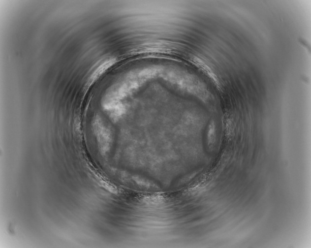 X0000096490882200802071940