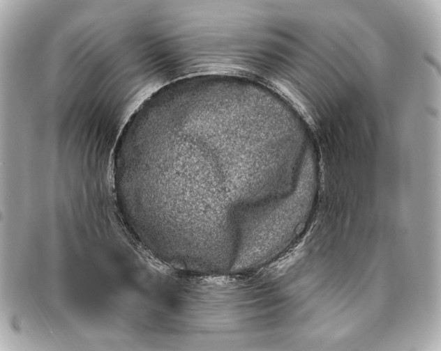 X0000096490883200802071940