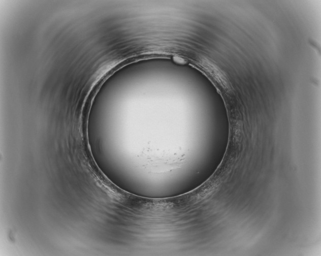 X0000096490884200802071940