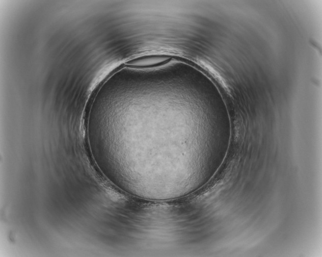 X0000096490885200802071940