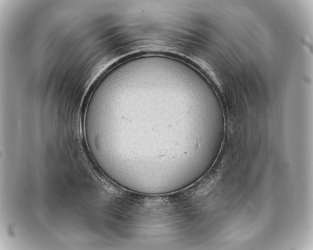 X0000096490887200802071940