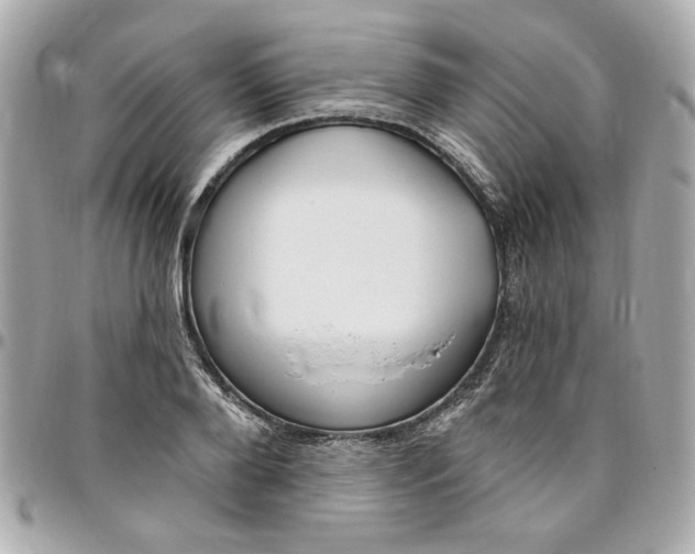 X0000096490888200802071940