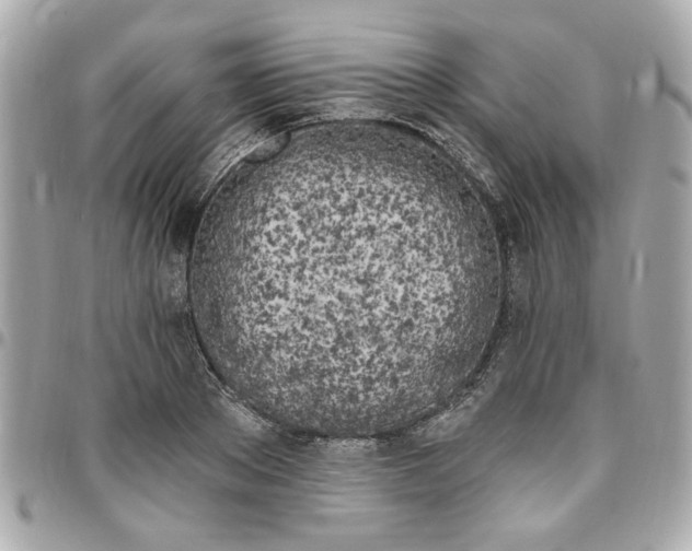 X0000096490889200802071940