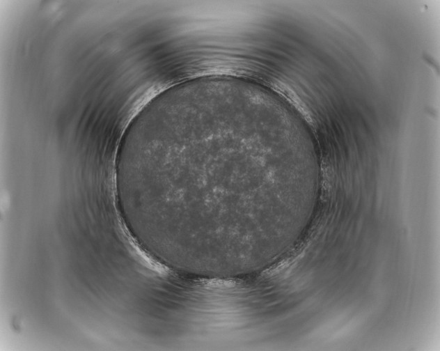 X0000096490890200802071940