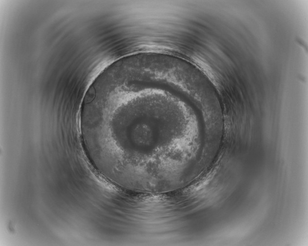 X0000096490891200802071940