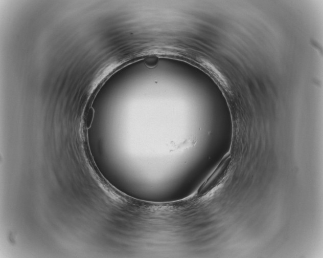 X0000096490893200802071940