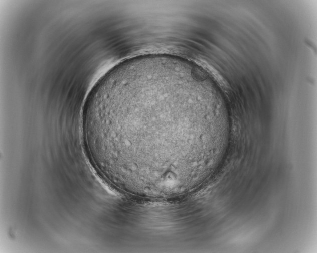 X0000096490894200802071940