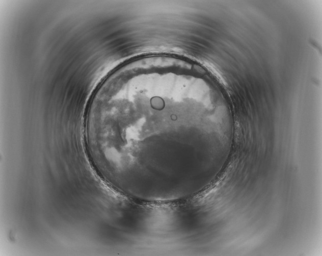 X0000096490895200802071940