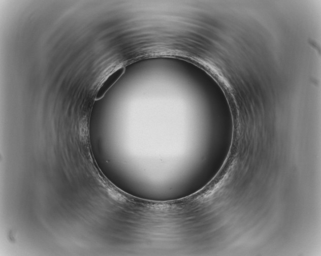 X0000096490897200802071940