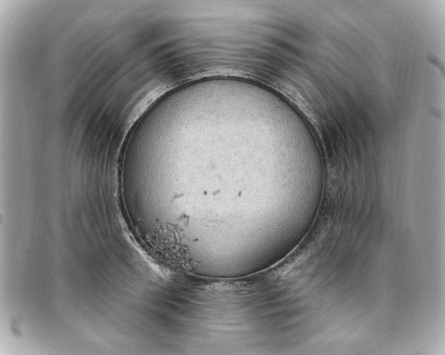 X0000096490898200802071940