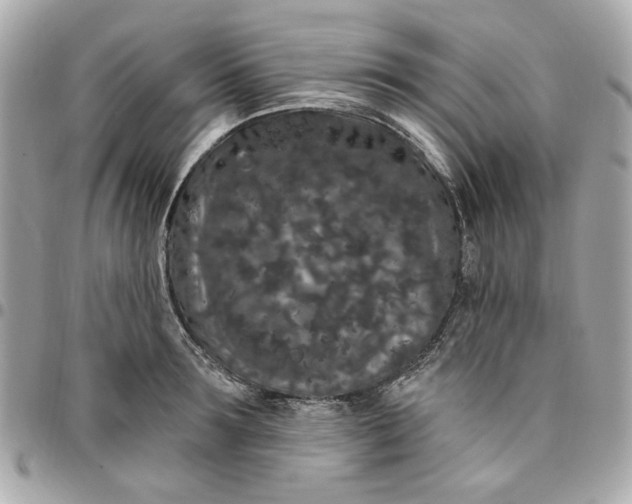 X0000096490899200802071940