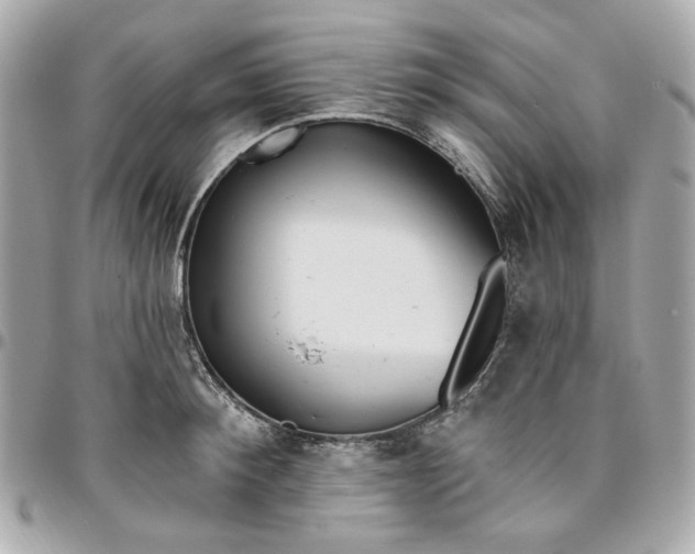 X0000096490900200802071939