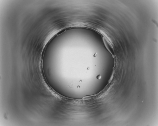 X0000096490901200802071939