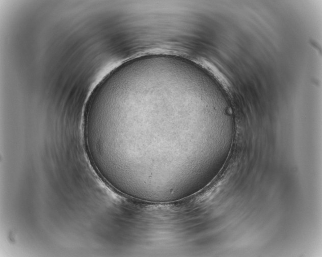 X0000096490902200802071939