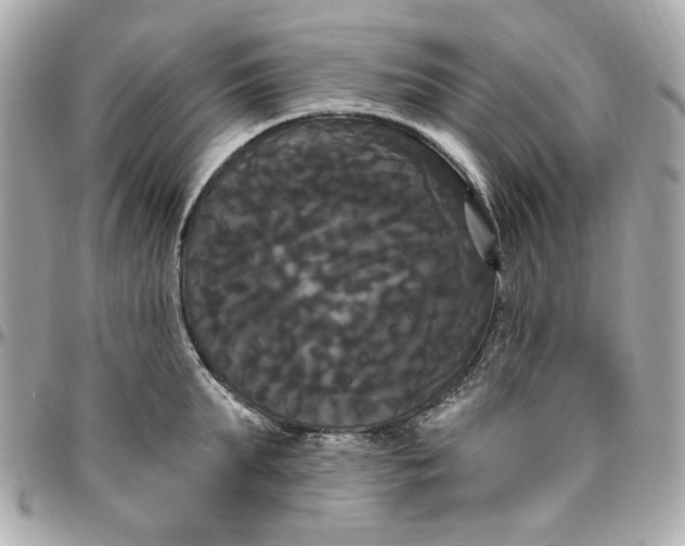 X0000096490903200802071939