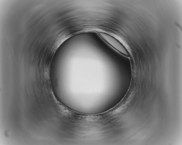 X0000096490905200802071939