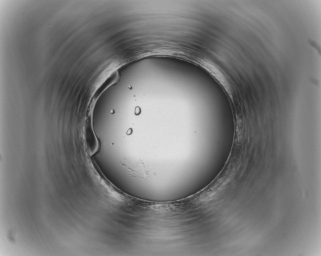 X0000096490906200802071939