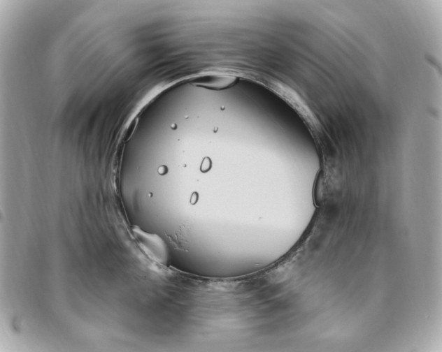 X0000096490908200802071939