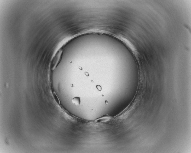 X0000096490910200802071939