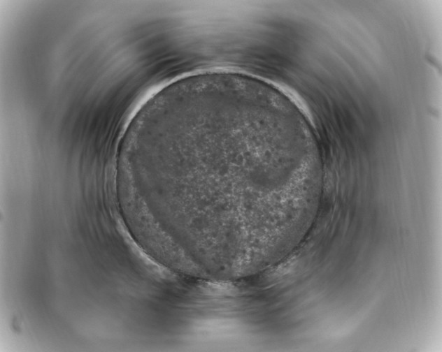 X0000096490911200802071939