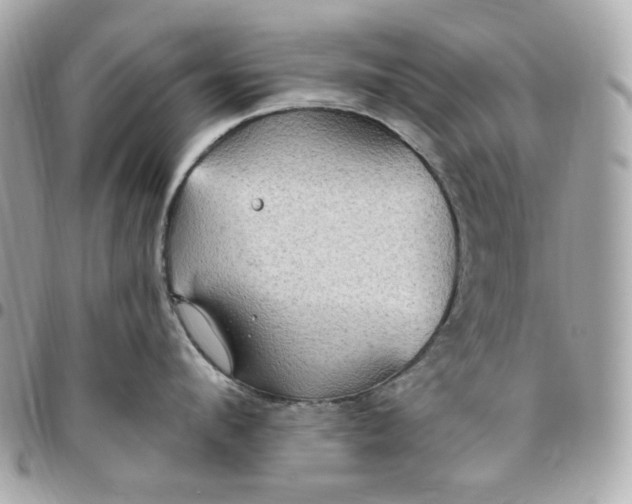 X0000096490912200802071939