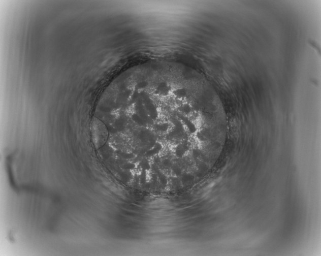 X0000096490913200802071939