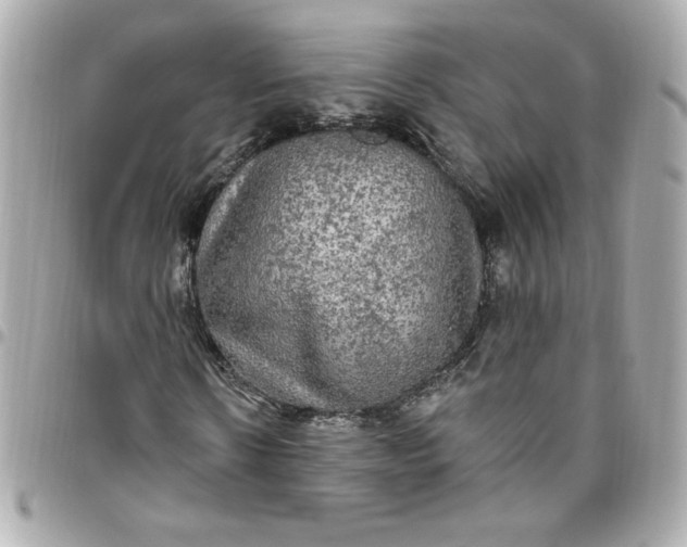 X0000096490914200802071939