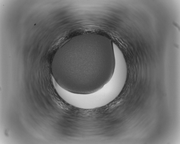 X0000096490916200802071939