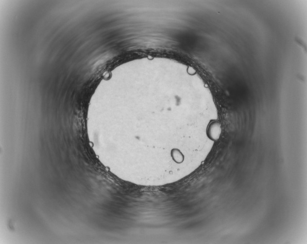 X0000096490918200802071939