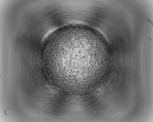 X0000096490919200802071939