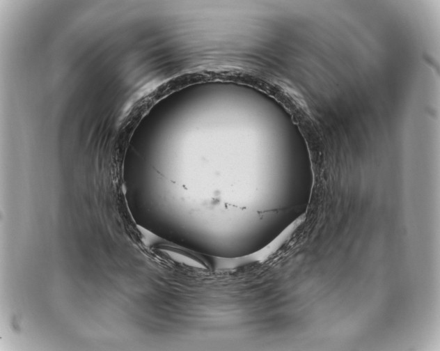 X0000096490920200802071939