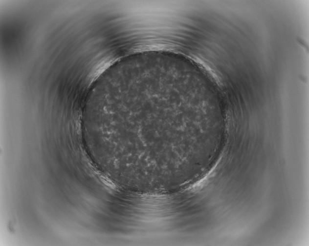 X0000096490921200802071939