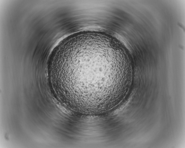 X0000096490923200802071939