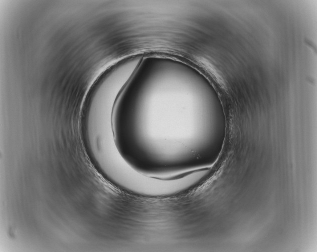 X0000096490924200802071939