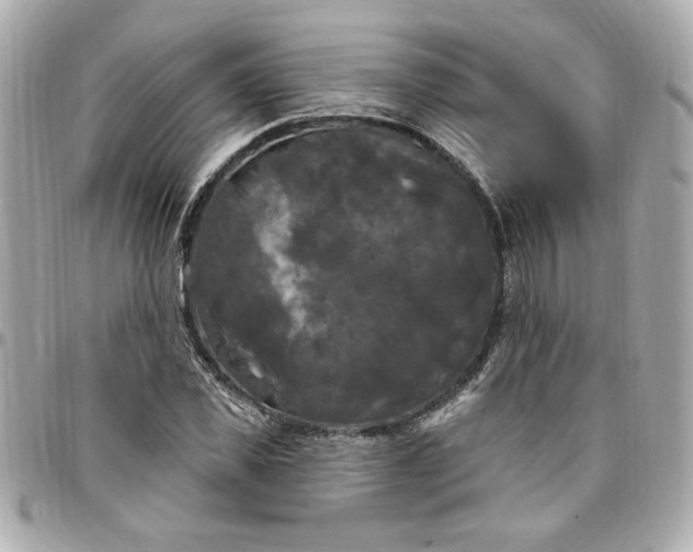 X0000096490925200802071939