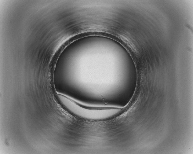 X0000096490926200802071939