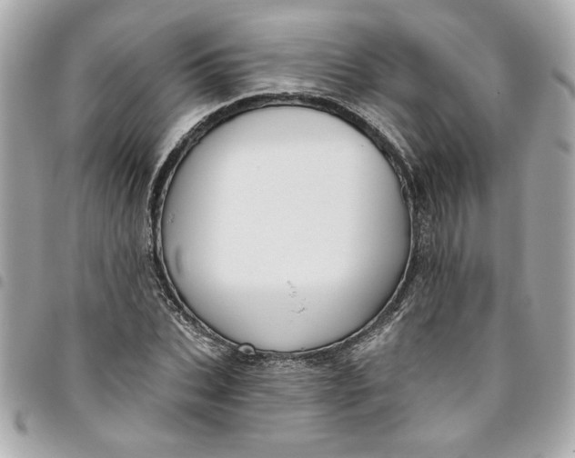 X0000096490927200802071939