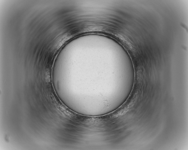 X0000096490929200802071939