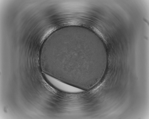 X0000096490930200802071939