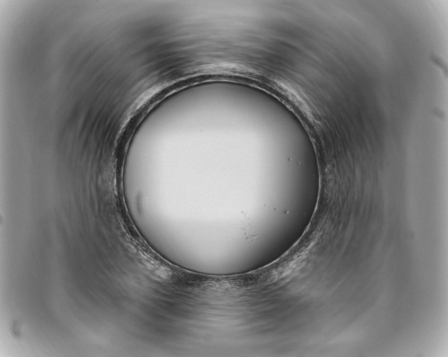 X0000096490931200802071939