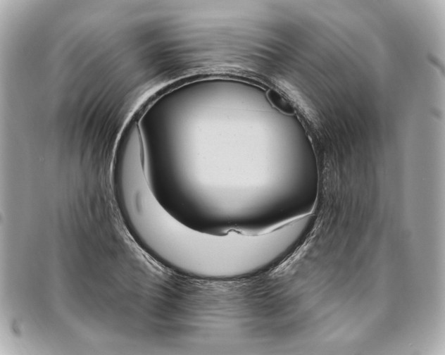 X0000096490932200802071939