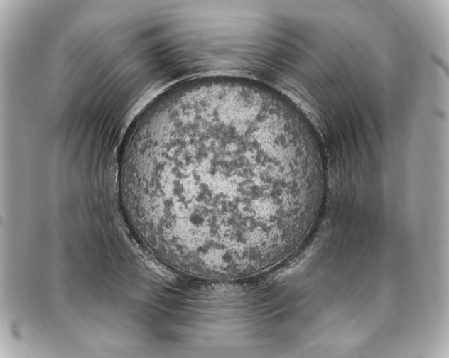 X0000096490933200802071939