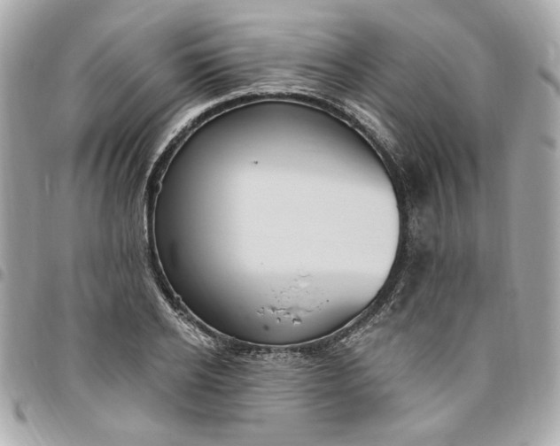 X0000096490934200802071939