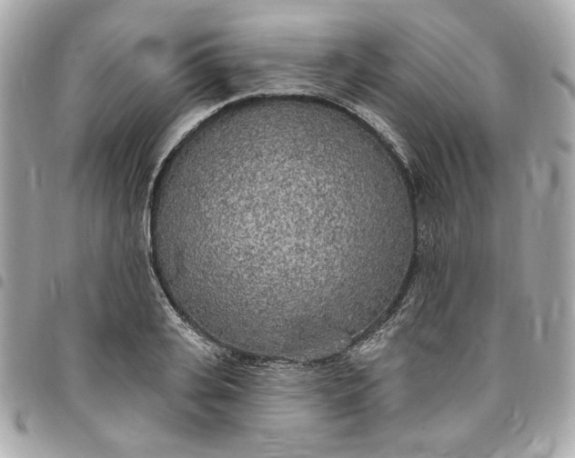 X0000096490935200802071939